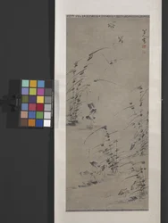 Dodici aironi nelle erbe palustri