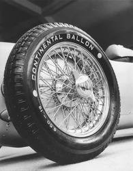 Ruota anteriore di un