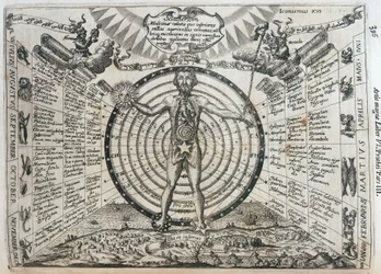 Carta astrologica