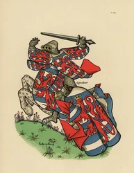 Conte di Lussemburgo, Comte de Luxembourg
