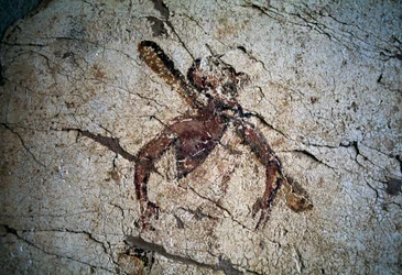Affresco, isola di Kos, Grecia