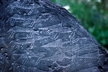 Dettaglio delle incisioni rupestri nel Parco Nazionale di Naquane, Valcamonica