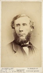 John Tyndall, fisico irlandese, c. 1875