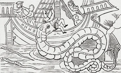 Uomo mangiato da un serpente marino