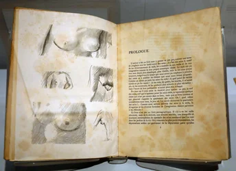 Museo degli Impressionismi, Giverny, Francia. Libro di Ramon Gomez de la Serna con disegni di Pierre Bonnard. Seni.