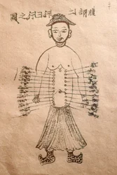 Museo della Medicina Tradizionale Vietnamita, I canali e i vasi, Libro di agopuntura, Ho Chi Minh City, Vietnam