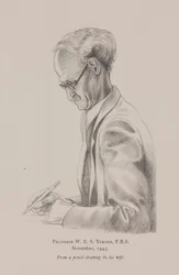 Professor W E S Turner, novembre