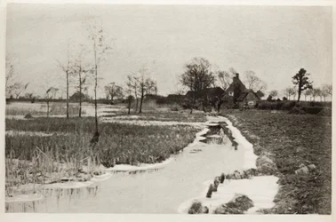 Il bordo del lago