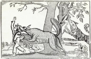 Il lupo circa 1820