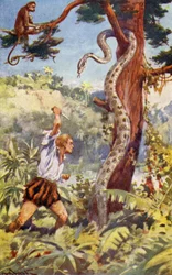 Dennis salva Mirandola