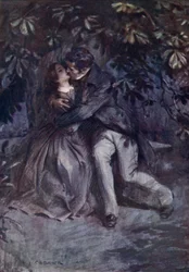 Mr Rochester dichiara il suo amore