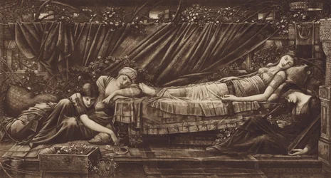 La bella addormentata