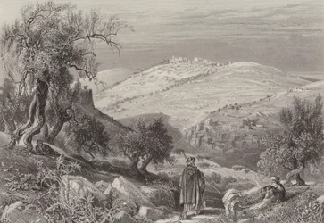 La salita di Olivet