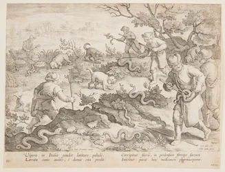 Caccia ai serpenti