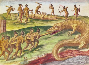 Caccia ai coccodrilli, da 