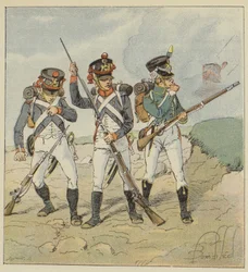 Giovane guardia, 1806, Coscritto-granatiere, Tiratore-granatiere, Flanqueur-cacciatore