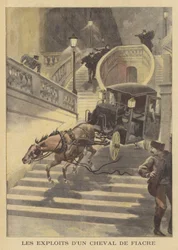 Un cavallo che tira una carrozza giù per una scalinata a Parigi