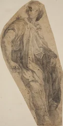Sibilla da S. Maria della Pace