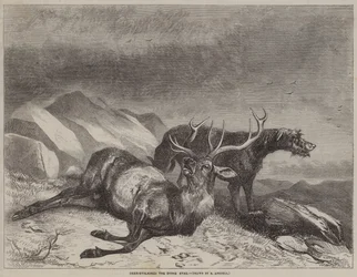 Caccia al cervo, il cervo morente