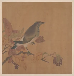 Uccello su ramo