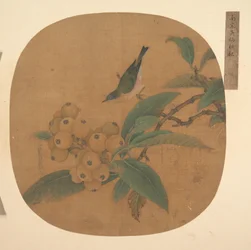 Uccello su un albero di nespolo