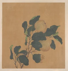 Ramo di albero con frutto