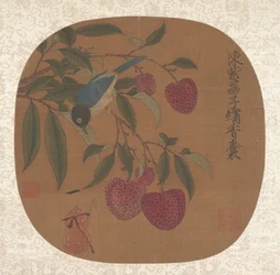 Grappolo di litchi viola