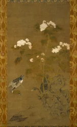 Peonie e anatre