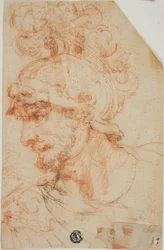 Busto di guerriero elmato di profilo