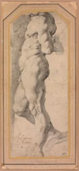 Studio di un nudo maschile in piedi