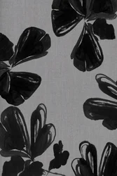 Astratto: Fiori neri