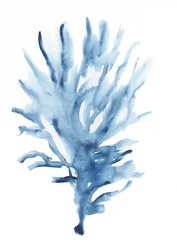 Astratto: Corallo blu