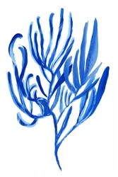 Astratto: Corallo blu