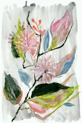 Riepilogo: Fiori rosa