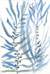 Piante marine astratte