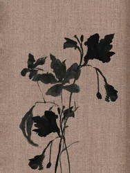Silhouette botanica nera