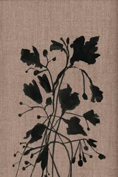 Silhouette botaniche nere