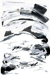 Bianco e nero audace
