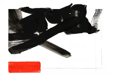 Audace contrasto rosso-nero