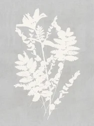 Studio di silhouette botaniche
