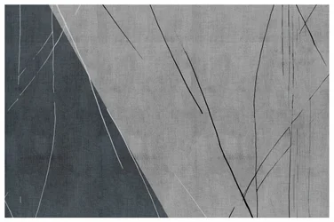 Linee astratte in grigio freddo
