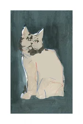 Lo sguardo curioso del gatto