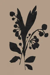 Sagoma botanica scura