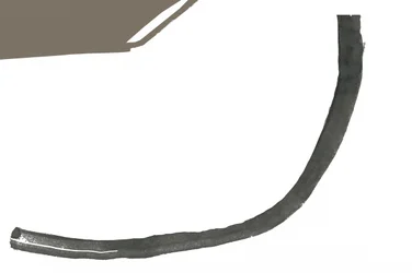 Curva fluida scura