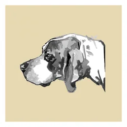 Profilo di un cane elegante