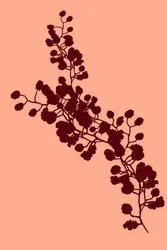 Elegante silhouette floreale