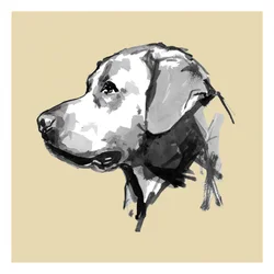 Profilo del cane espressivo