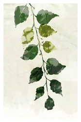 Oro verde 3