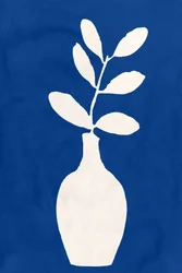 Vaso Indigo Plant