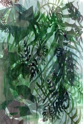 Rigogliosa vegetazione tropicale